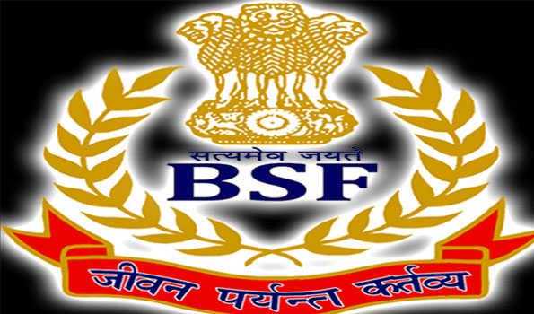 भारत-पाक सीमा पर दो घुसपैठिये ढेर